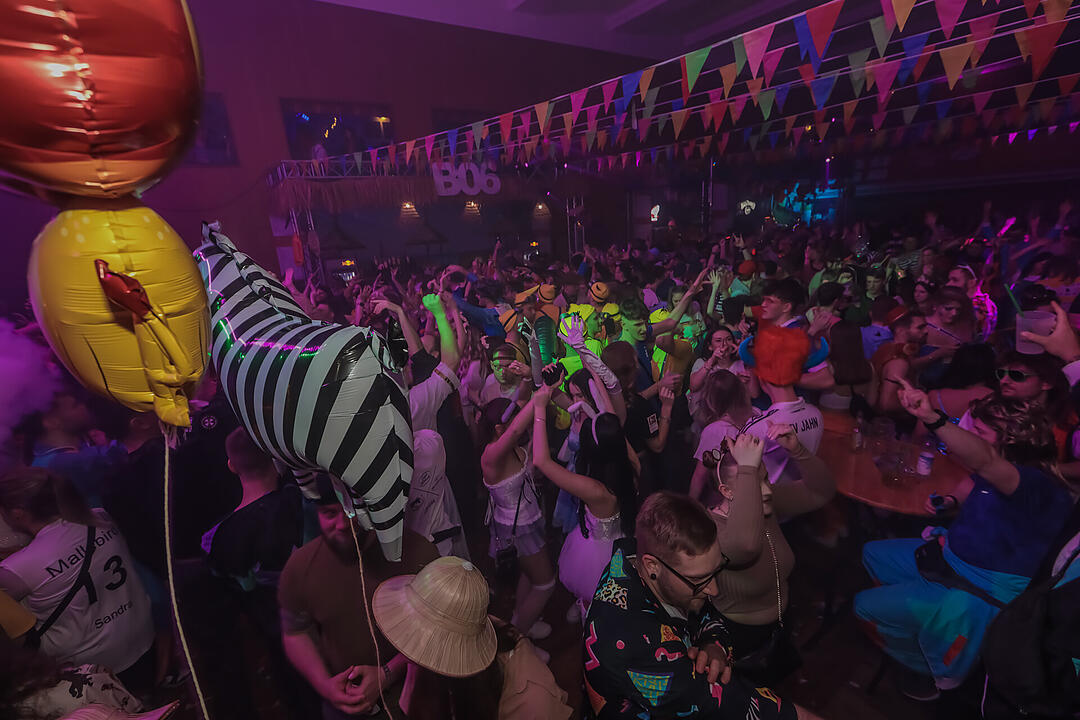 Fasching 2025 in Schweinfurt!