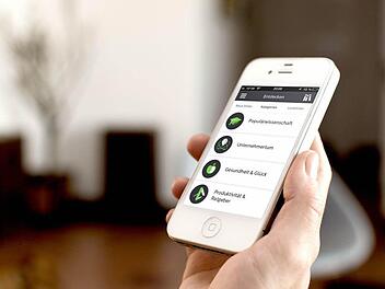 So schaut die App auf einem iPhone aus. Alle Fotos: Blinkist