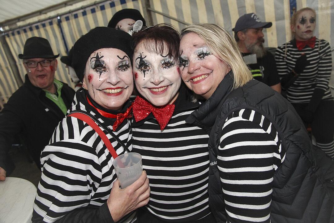 Fasching 2025 in Stadtsteinach!