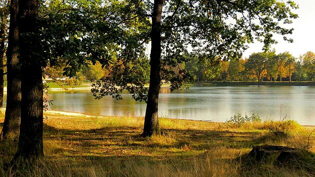 Die 20 schönsten Seen Deutschlands laut dem ADAC: Dieser See in Rheinland-Pfalz gehört dazu