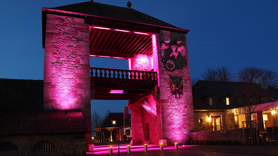 Das Deutsche Weintor, pink angestrahlt zur Pfälzer Mandelblüte bildet einen Endpunkt der Deutschen Weinstraße.
