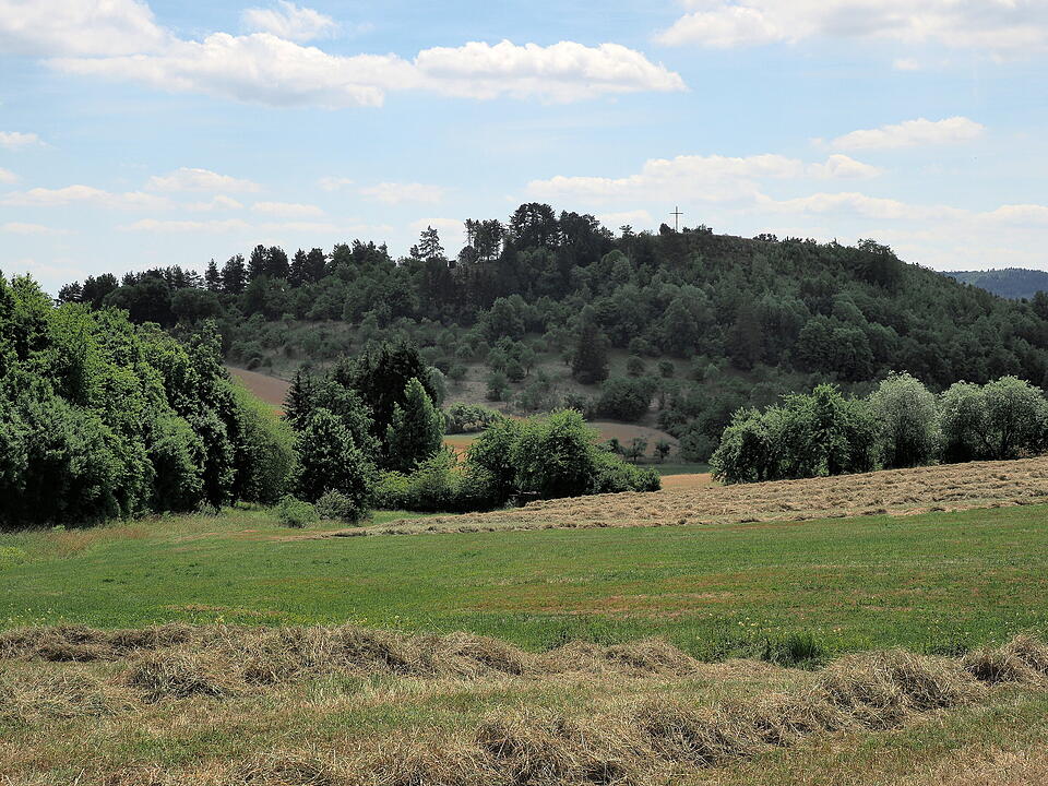 Die Lichtenburg ist eine Ruine auf dem Schloßberg.