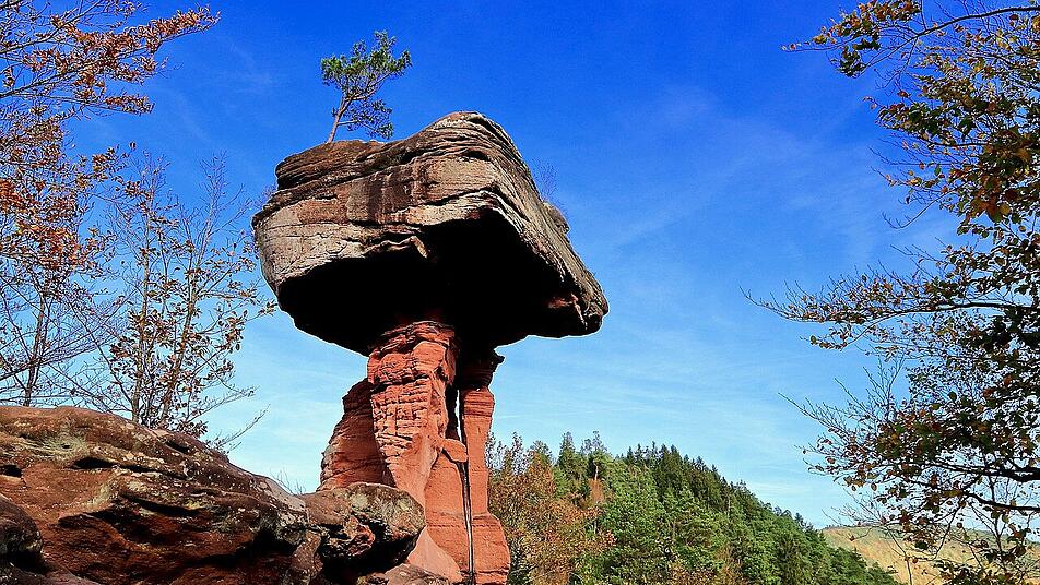 Schönste Naturwunder Deutschlands gesucht: Diese Orte in Rheinland-Pfalz stehen zur Auswahl