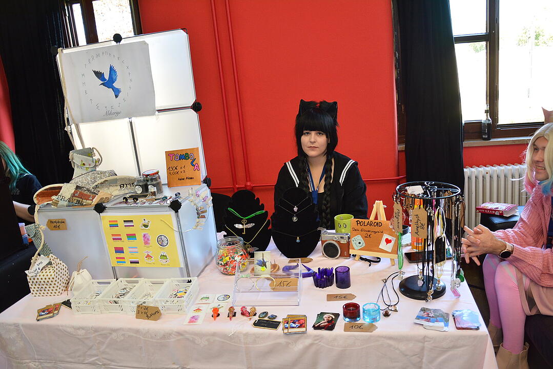 Zahlreiche Manga, Anime und Cosplay-Fans kamen nach Schweinfurt.