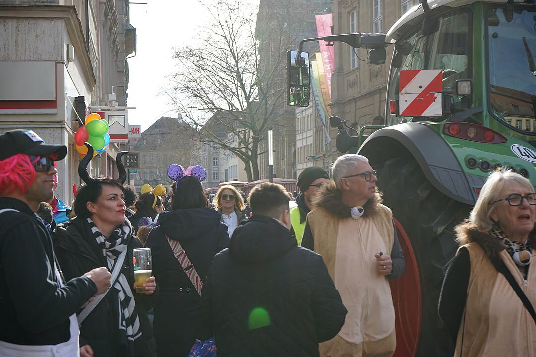 Die schönsten Bilder vom Faschingsumzug Bamberg 2025