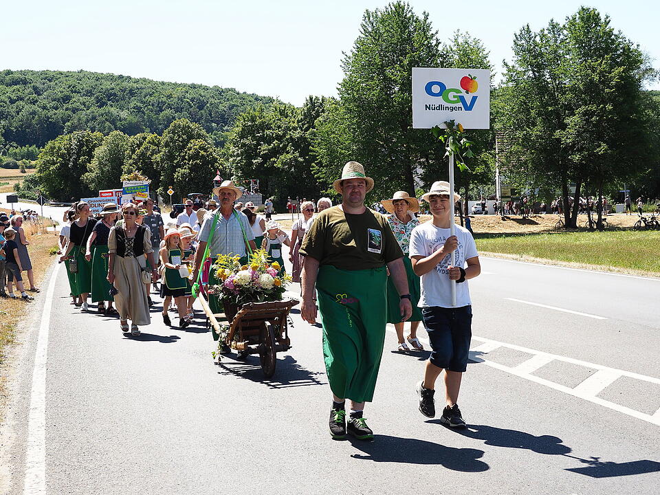 Historischer Festumzug