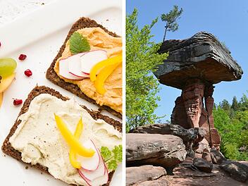 Vegan unterwegs im Pfälzerwald: Auf diesen Wanderhütten gibt es veganes Essen.