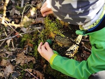 Wandern, Natur, Geocache, Geocaching