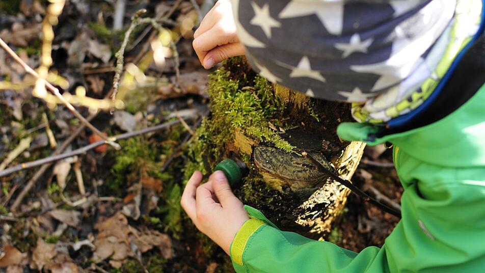 Wandern, Natur, Geocache, Geocaching