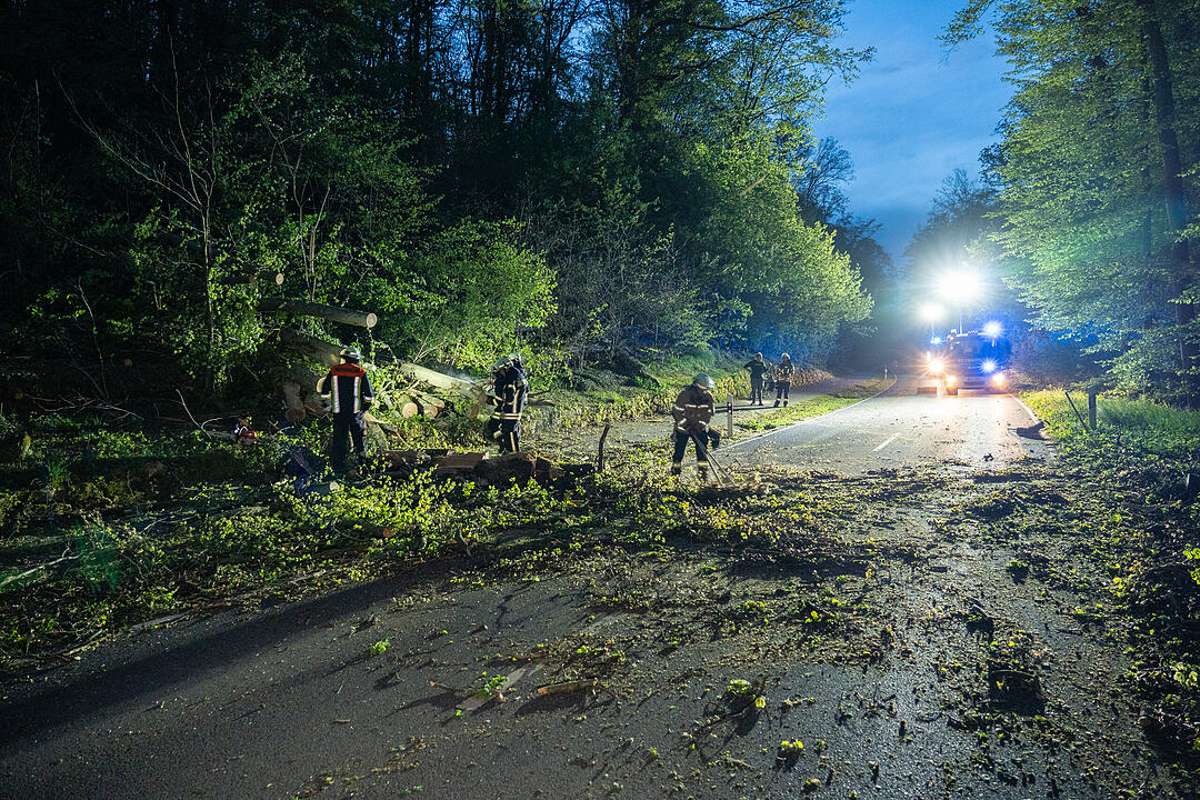Zahlreiche Einsätze durch Unwetter in Franken: Umgestürzte Bäume fordern Feuerwehr