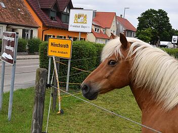 Herzlich willkommen an der bayerisch-schwäbischen Grenze: Mönchsroth liegt in Bayern, ein paar Häuser der Gemeinde stehen aber schon in Baden-Württemberg. Dieses Pferd ist ein Bayer. Foto: Ronald Rinklef