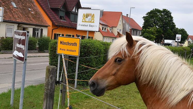 Herzlich willkommen an der bayerisch-schwäbischen Grenze: Mönchsroth liegt in Bayern, ein paar Häuser der Gemeinde stehen aber schon in Baden-Württemberg. Dieses Pferd ist ein Bayer. Foto: Ronald Rinklef