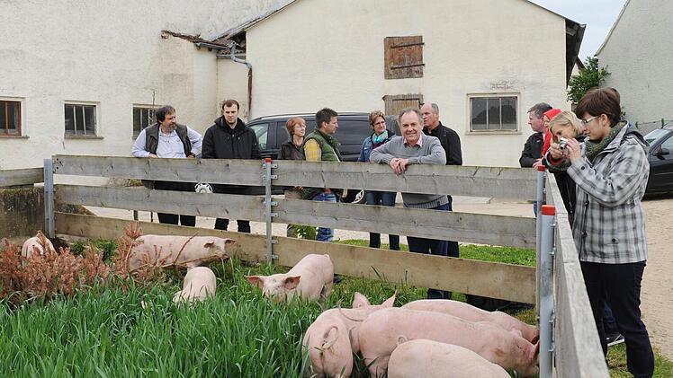 Robert Prosiegel (Mitte) besucht regelmäßig mit den Paten die Schweine bei Landwirt Stache, wo die Tiere auf dem Acker hinter der Scheune im Freien laufen. Foto: Privat