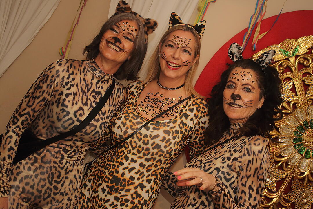 Fasching 2025 in Nürnberg!
