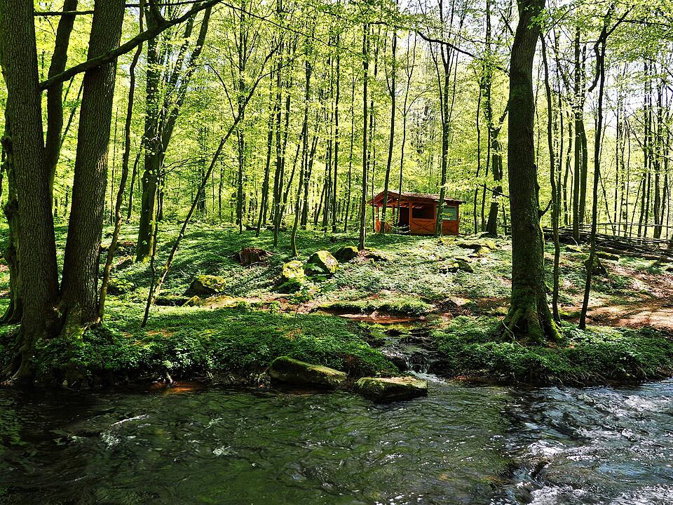 Die Wanderung führt durch eine Kernzone des Biosphärenreservats Rhön.