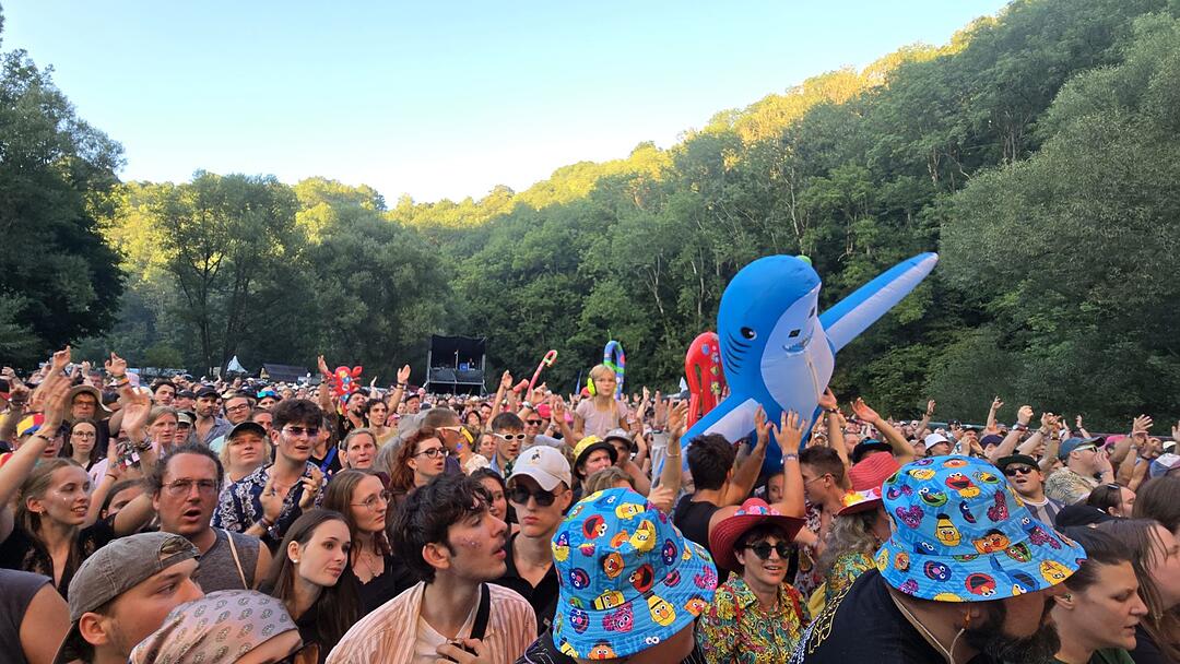 Das Taubertal Festival 2025: Mit Hilltop Hoods, IPrevail, 01099, Madsen, Irie Révoltés und vielen weiteren