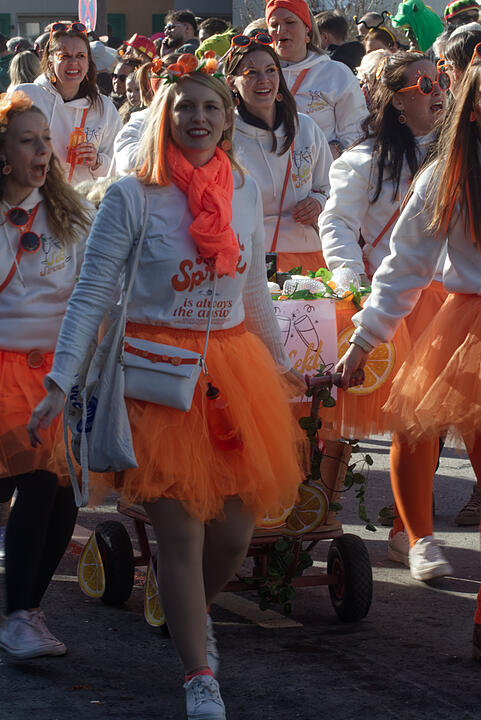 Fasching 2025 in Emskirchen!
