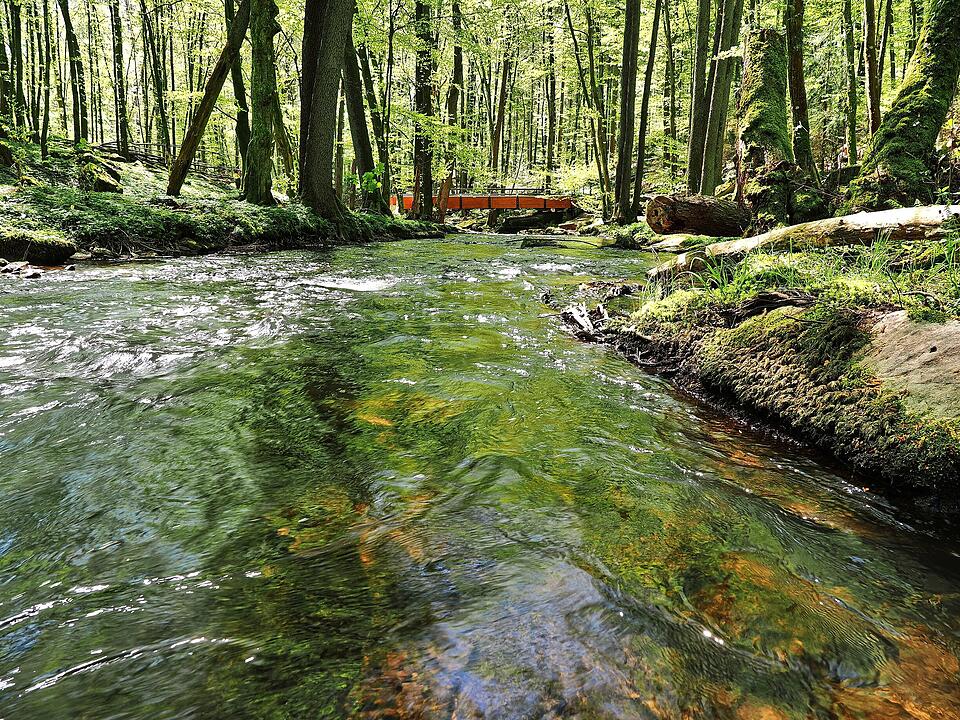 Die Wanderung führt durch eine Kernzone des Biosphärenreservats Rhön.