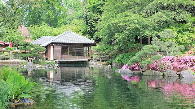 Der japanische Garten in Kaiserslautern ist einen Besuch wert.