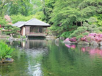 Der japanische Garten in Kaiserslautern ist einen Besuch wert.