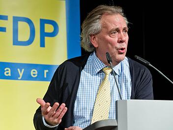 Der neue bayerische FDP-Landesvorsitzende Albert Duin spricht auf dem Landesparteitag der bayerischen FDP in Bamberg  Foto: Karmann/dpa