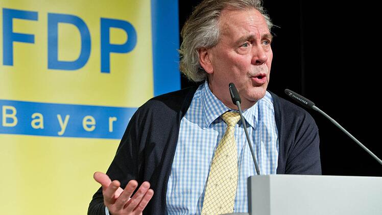 Der neue bayerische FDP-Landesvorsitzende Albert Duin spricht auf dem Landesparteitag der bayerischen FDP in Bamberg  Foto: Karmann/dpa