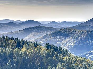 Blick über den Pfälzerwald in Rheinland-Pfalz. In der beeindruckenden Region kann man auch wunderbar biwakieren - und dann am Morgen mit dieser Aussicht aufwachen.