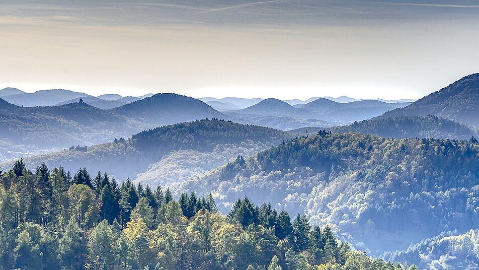 Blick über den Pfälzerwald in Rheinland-Pfalz. In der beeindruckenden Region kann man auch wunderbar biwakieren - und dann am Morgen mit dieser Aussicht aufwachen.