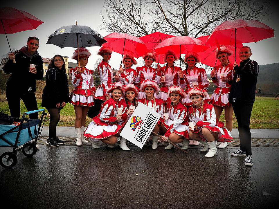 Fasching 2024 in Steinach