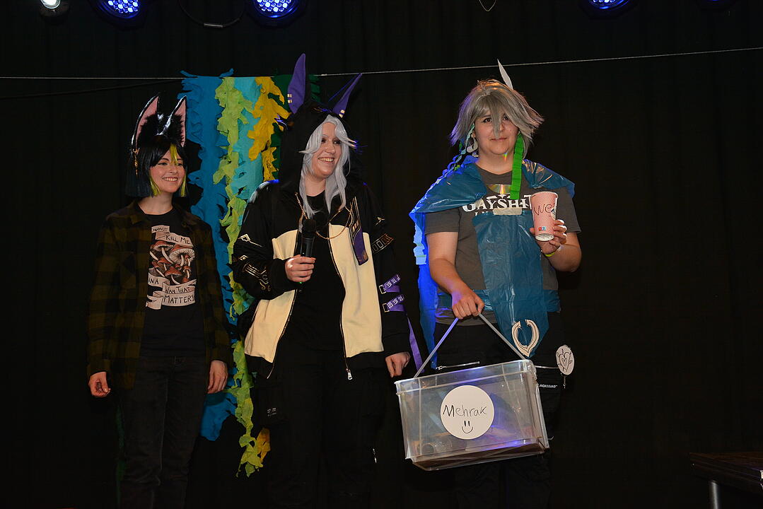 Zahlreiche Manga, Anime und Cosplay-Fans kamen nach Schweinfurt.