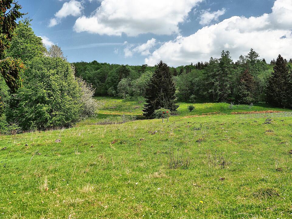 Rothsee am Bauersberg