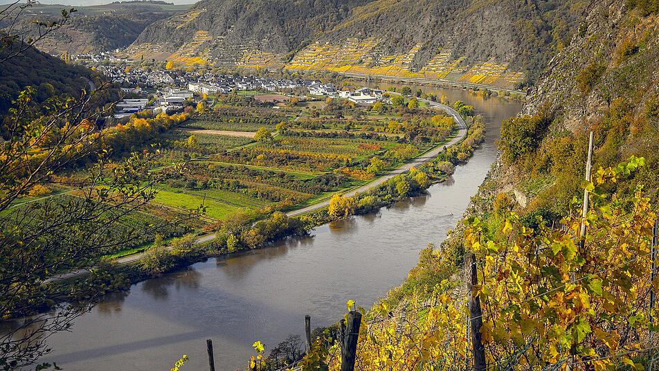 Wandern mit Blick auf die Weinberge.