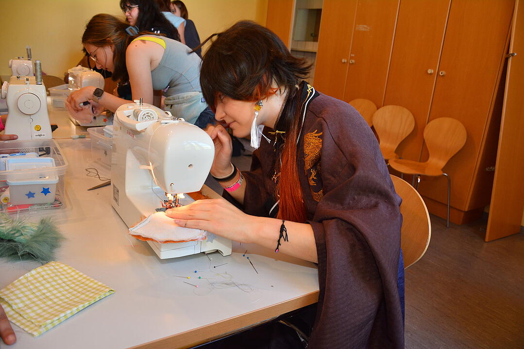 Zahlreiche Manga, Anime und Cosplay-Fans kamen nach Schweinfurt.