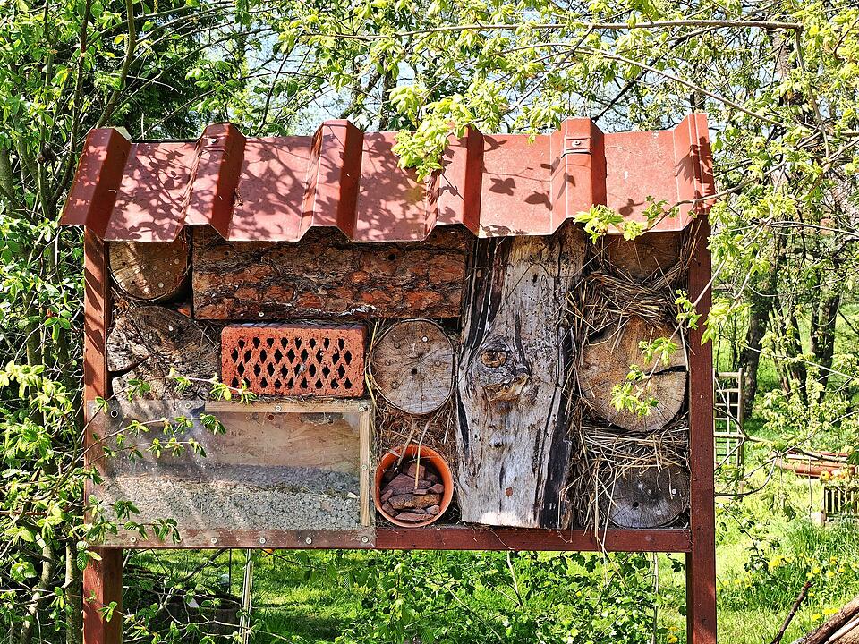 Die Wanderung führt durch eine Kernzone des Biosphärenreservats Rhön.