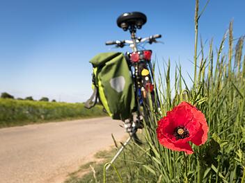 Familien-Fahrradtour Kusel in den Sommerferien: Der Glan-Blies-Radweg - das erwartet dich