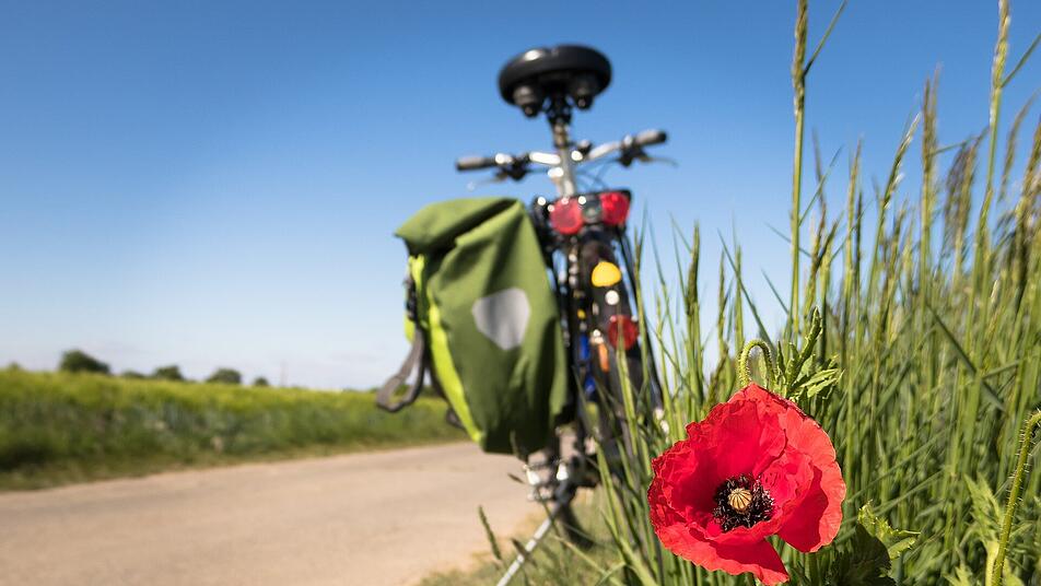 Familien-Fahrradtour Kusel in den Sommerferien: Der Glan-Blies-Radweg - das erwartet dich