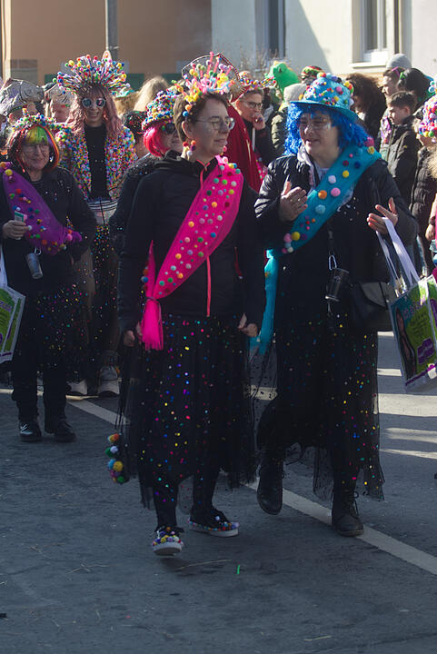 Fasching 2025 in Emskirchen!