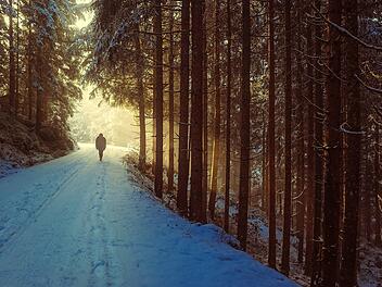 Wandern im Winter