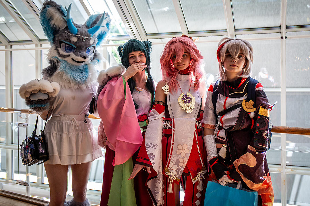 Das Fantreffen der Anime-, Manga- und Japan-Kultur in Coburg!