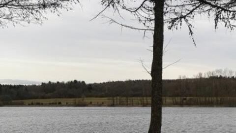 Wandern im Westerwald: Auf dem Druidensteig erlebst du Natur und Kultur pur