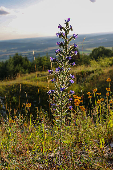 Herrliches Wandergebiet im Bamberger Umland