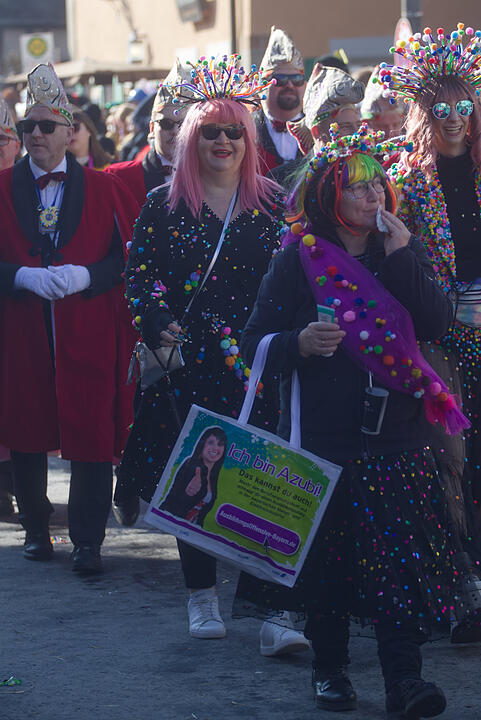 Fasching 2025 in Emskirchen!