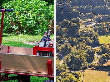 Mosel, Eifel, Hunsrück: Diese Vatertagswanderungen solltest du ausprobieren