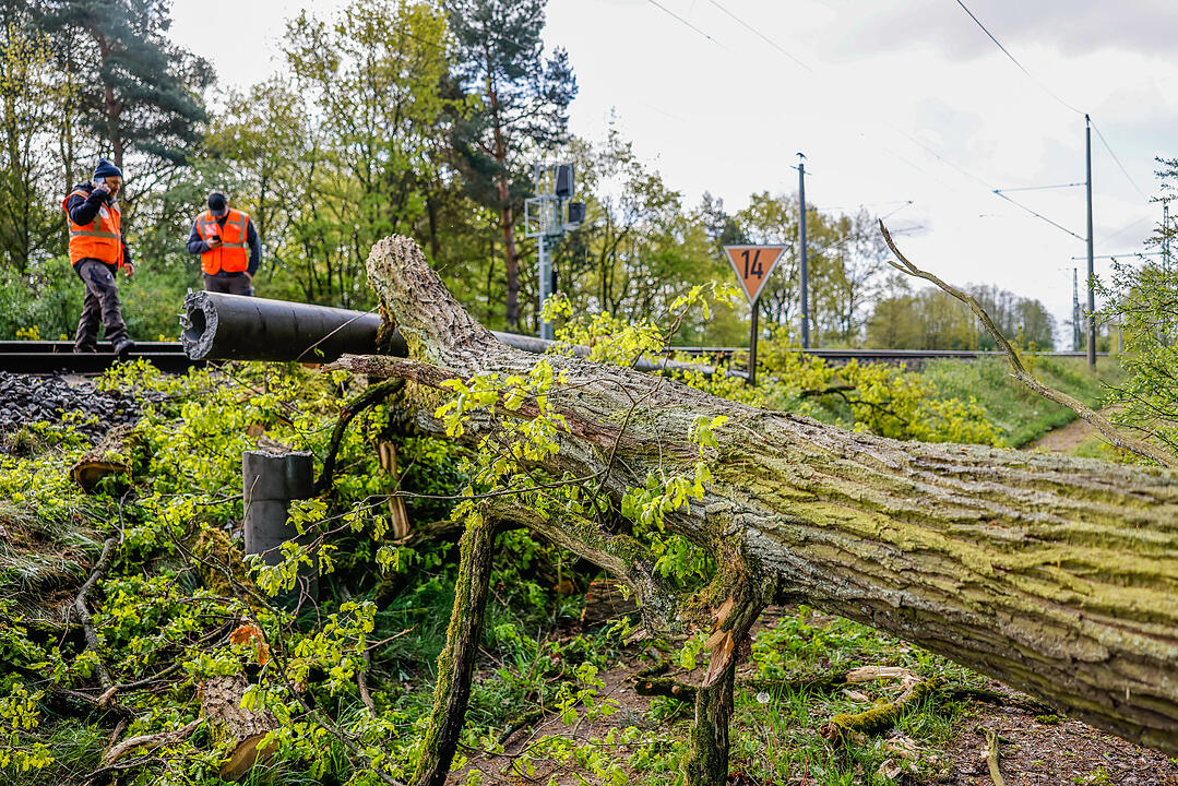 Zahlreiche Einsätze durch Unwetter in Franken: Umgestürzte Bäume fordern Feuerwehr
