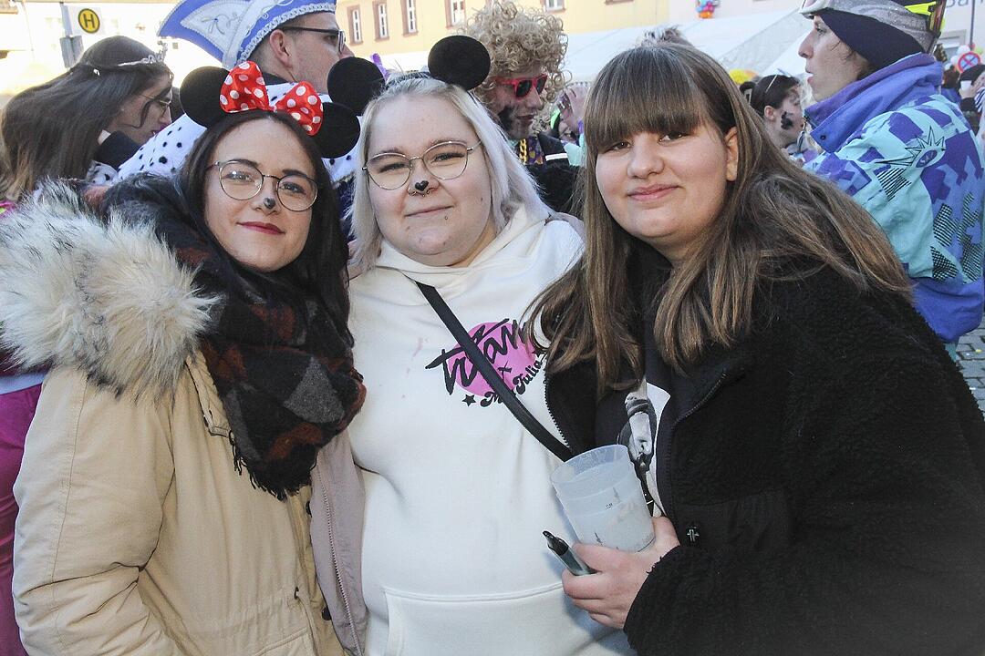 Fasching 2025 in Stadtsteinach!