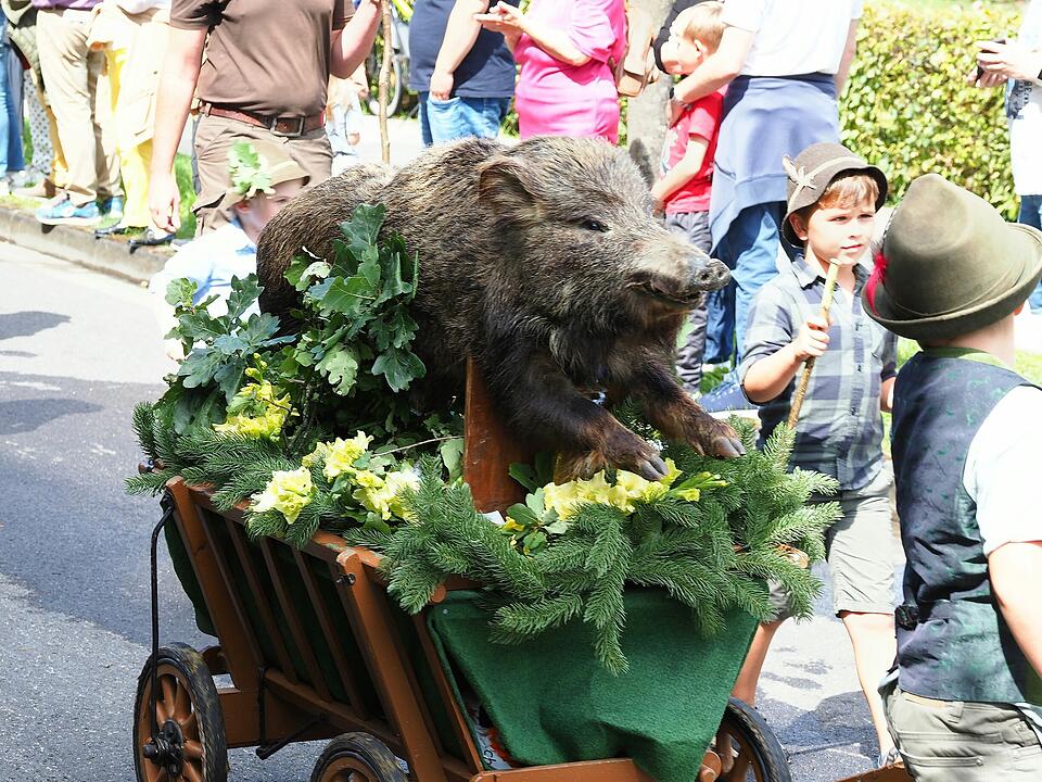 Großer historischer Festzug durch Bad Kissingen!