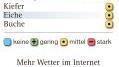 Eine Vorhersage zum Pollenflug gibt es in dieser Zeitung täglich auf Seite 8 sowie auf infranken.de.