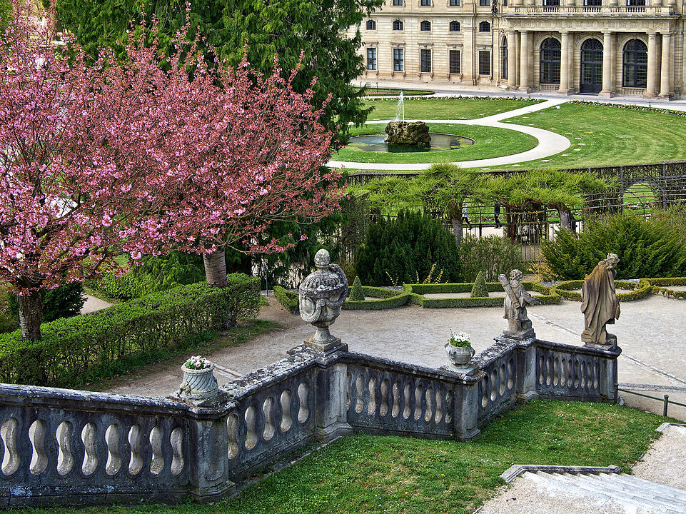 Baumblüte im Hofgarten der Würzburger Residenz