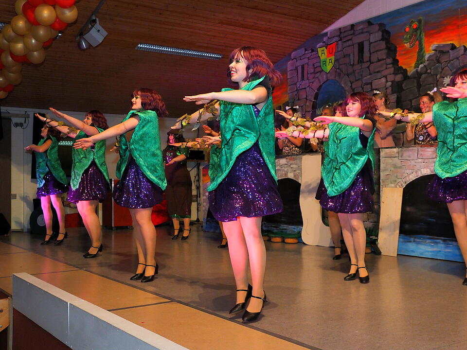 Fasching 2025 im Landkreis Bad Kissingen.