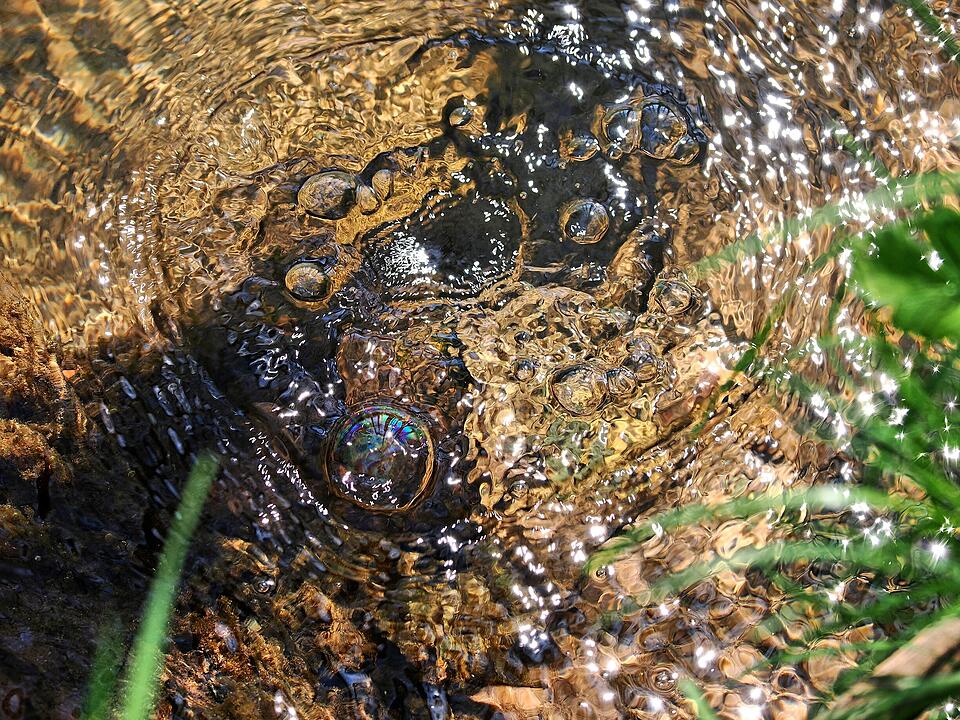 Die Wanderung führt durch eine Kernzone des Biosphärenreservats Rhön.